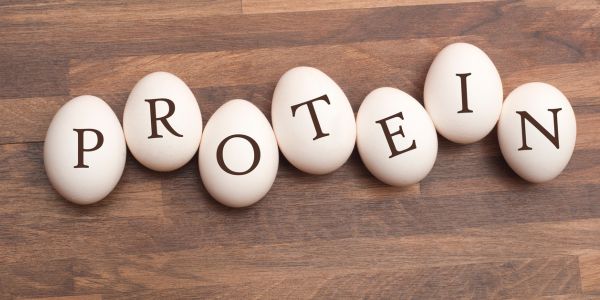 bjelančevine i proteini